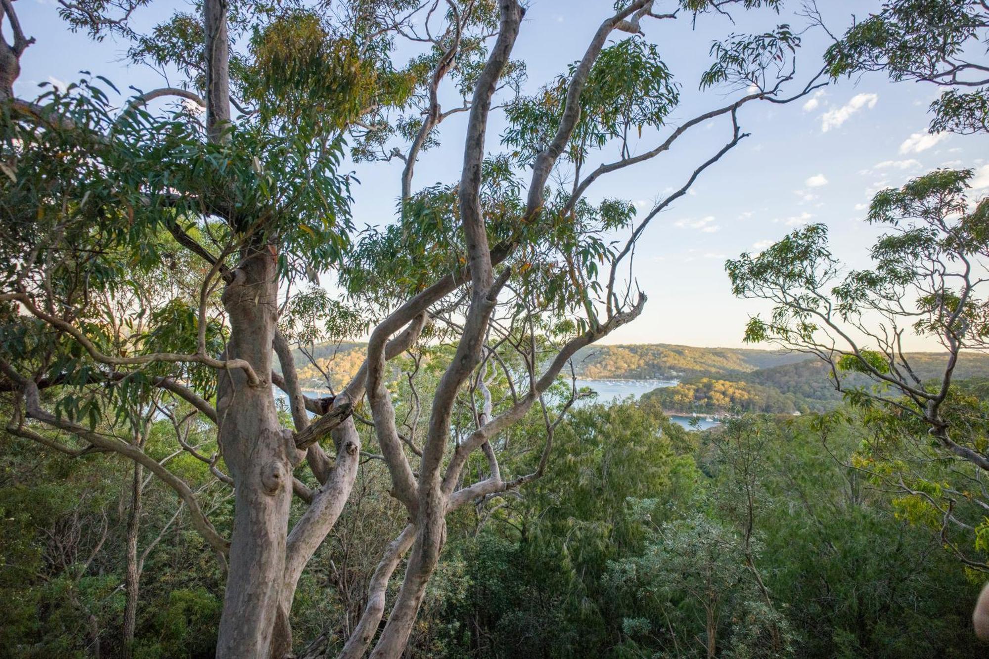بيت شباب Yha Pittwater Eco, Sydney Church Point المظهر الخارجي الصورة